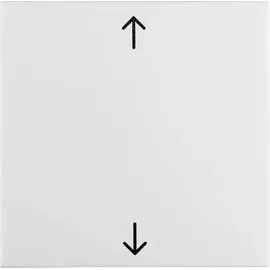 Berker Wippe pws/gl 16208919