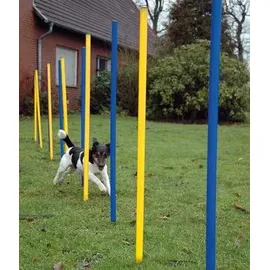 Dobar Agility Slalom Set 12-teilig