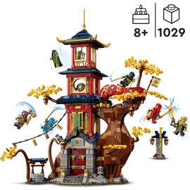LEGO Ninjago Tempel der Drachenpower 71795