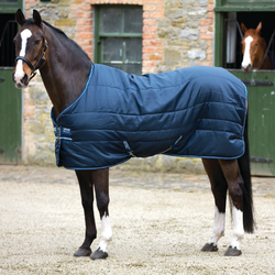 Horseware Amigo Insulator lite 100g - Navy with Navy & Navy, 155