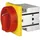Elektra Tailfingen Not-Aus-Schalter S1 011/HS-F3-D-RG