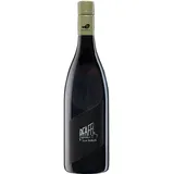 Weingut Pfaffl Zweigelt Vom Haus 2024 0,75 l