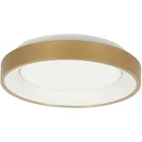 Steinhauer Ringlede, Ø 28cm, 20W, 2700K, 1600lm, IP20, CRI>90, dimmbar, gold, STE-3690GO