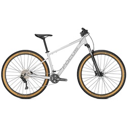 Focus Whistler 3.8 Grau Modell Aktion