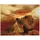 Craft Buddy Ltd. Lions of the Savannah Diamond Painting 40x50cm