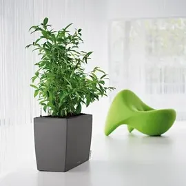 LECHUZA Cararo Komplettset 75 x 30 x 43 cm anthrazit metallic