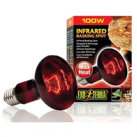 Exo Terra R25 Infrarot-Spotlampe
