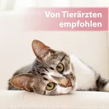 Felisept Augenpflege-Pads für Katzen 100 Stück