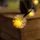 esotec Solar Deko-Lichterkette mit 30 Pusteblumen Blumen wetterfest 102185 -