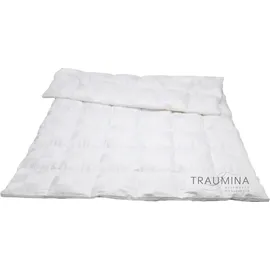 Traumina Cube Daune Kassettendecke WK 4 Größe 200x200 cm*)