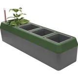 Bio Green Kräuterbeet Provence mit Bewässerungssystem 4 Töpfe