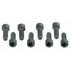 SACHS Schraubensatz Schwungrad  1874000031