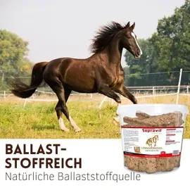 Supravit Leinsamen Pferdeleckerlies 2 kg