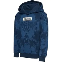 hummel Jump Blackiris 110