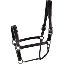 Halfter aus Leder Harry's Horse Sparkle One Size