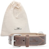 Freudentier Hundehalsband aus zertifiziertem Leder - Gepolstert & super komfortabel - Made in Holland - Hunde Halsband inkl. Geschenksäckchen - Amstelpark Kollektion (37-47cm, Dark Chocolate)