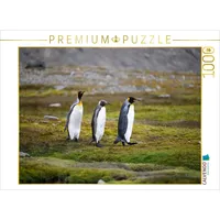 Calvendo Puzzle Königspinguinpärchen mit Jungem 1000 Teile Lege-Größe cm
