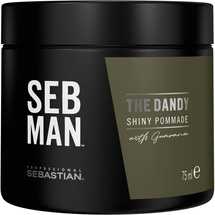 Sebastian Professional Seb Man The Dandy Pomade 75 ml