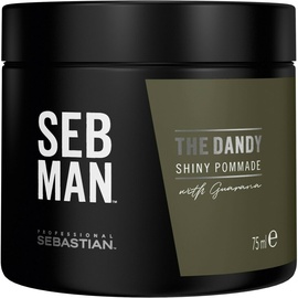 Sebastian Professional Seb Man The Dandy Pomade 75 ml