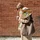 Studio Noos TEDDY MOM-BAG Schultertasche Synthetik Brown