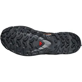Salomon XA Pro 3D V9 GTX grau