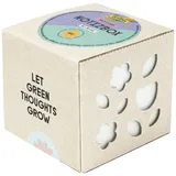 Folia Zettelbox grün inkl. 650 Notizzettel weißgrau, 1 St.