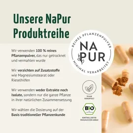 vom Achterhof Bio Kurkuma Kapseln 400 St.