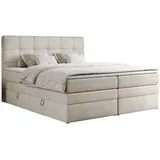 MKS Meble MKS Boxspringbett Beige Velvet - - H3 Rechteckig, 160x200 cm Schlafzimmer, Betten, Boxspringbetten