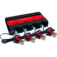 Banner Ladegerät Multicharger 4x5A