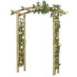 Gartenpirat Pergola Rosenbogen aus Holz 160x72x210 cm mit Rankgitter