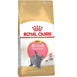 Royal Canin Kitten British Shorthair 2 x 10 kg