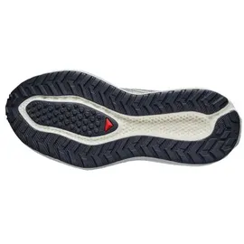 Salomon Aero Glide 4 GRVL Herren Vanilla Ice/Black 36