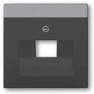 Busch-Jaeger Zentralscheibe sw mt f.UAE-Anschlussdo.1f 1803-885