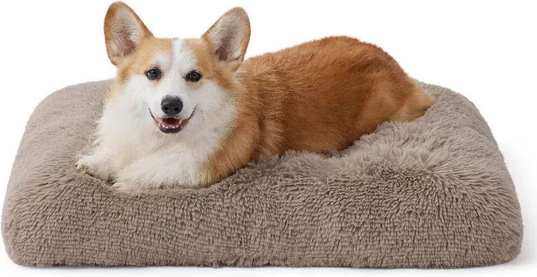 BEDSURE Plüsch-Hundebett für mittelgroße Hunde – 74 x 53 x 8 cm, Camel