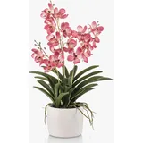 artplants.de Deko Vanda Orchidee PAVRA im Keramiktopf, Wurzeln, pink-weiß, 60cm - Künstliche Orchidee