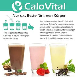 CALOVITAL Hochkalorische Trinknahrung CaloVital 500 g