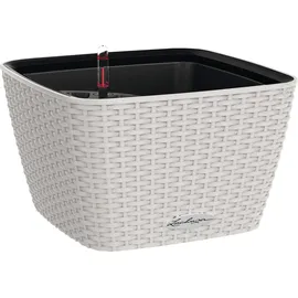LECHUZA Bacino Cottage Komplettset 30 x 30 x 18 cm lichtgrau