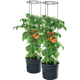 Pafen Tomatentopf Ø 29,5 x 23,6 cm Grün