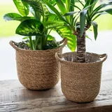 DARO DEKO Seegras Korb rund Natur Ø 19 x 20cm mit Einsatz und Henkeln Blumentopf geflochten Aufbewahrungskorb Über-Topf Blumenkorb