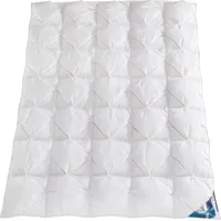 Haeussling Gänsedaunenbettdecke »Luksus Hygge«, warm, Füllung 100% Gänsedaunen, (1