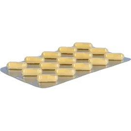 SALUS Vitamin-B-Komplex Kapseln 60 St.