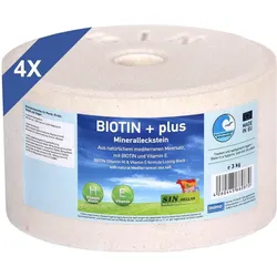 BIOTIN+ plus - Mineralleckstein, Set mit 4x 3kg 12kg