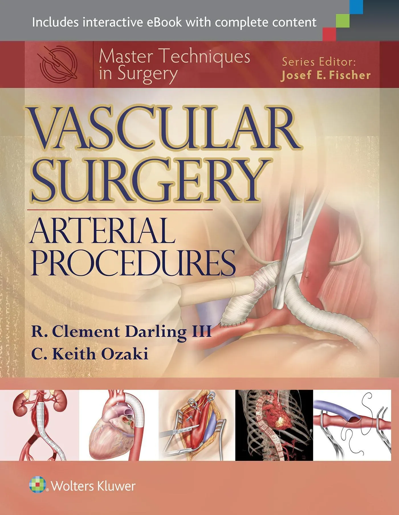 Master Techniques In Surgery: Vascular Surgery - R. Clement  Darling  Kartoniert (TB)