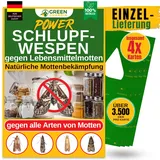 green guardia Schlupfwespen gegen Lebensmittelmotten Mottenfalle 4 Karten
