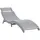 vidaXL Sonnenliege 184 x 55 x 64 cm Grau