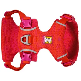 Ruffwear Front Range Flex Hundegeschirr Rose Violet 2XS