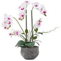 Homescapes - Künstliche weiße Phalaenopsis-Orchidee im grauen Zement-Topf, 52