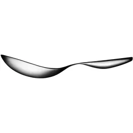 Iittala Collective Tools Servierlöffel groß