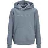 JACK & JONES JJESTAR Blue 176