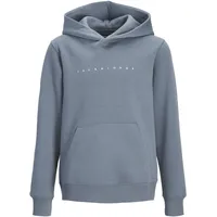 JACK & JONES JJESTAR Blue 176